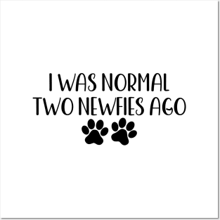 I was normal two newfies ago - funny dog owner gift - funny newfie dog Posters and Art